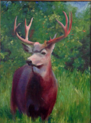 Stag