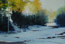 Hidden Woods  20x15  Oil on Board