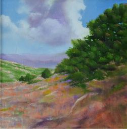 Vista  14x14  Oil on Board
